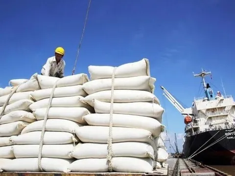 Gạo Việt Nam phi mã bất chấp Ấn Độ xả kho, giá thế giới lao dốc