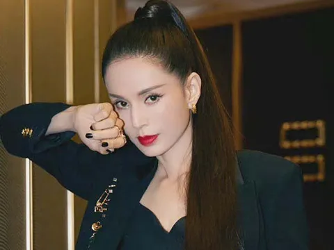Lý Nhược Đồng tiết lộ lý do gây sốc khi bị hải quan chặn lại