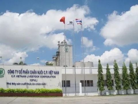 Sau lùm xùm heo bệnh, đại gia Thái Lan C.P. vẫn tăng trưởng doanh thu bán thực phẩm, kiếm tổng cộng 43.000 tỷ ở Việt Nam nửa đầu năm 2025