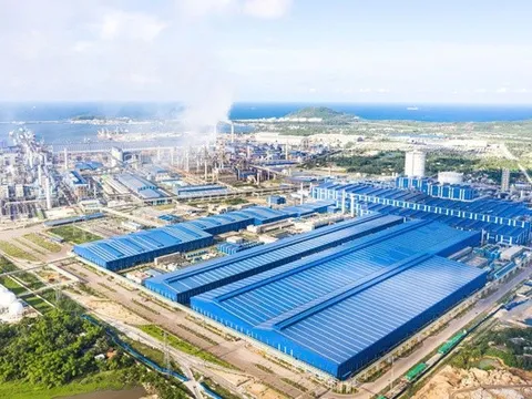 Quảng Ngãi: Xuất khẩu sang thị trường Hoa Kỳ gần 400 triệu USD trong 7 tháng