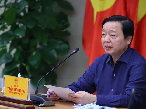 Phó Thủ tướng yêu cầu kiểm tra lò mổ, xem xét xử lý hình sự bán và thả heo bệnh