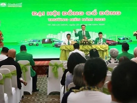 Sau thua lỗ, Mai Linh đặt mục tiêu lãi 56 tỷ đồng năm 2025, đẩy mạnh đầu tư xe taxi điện
