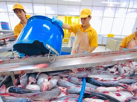 Doanh thu từ Mỹ và EU bù đắp đà giảm của Vĩnh Hoàn tại Trung Quốc