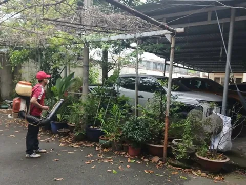 Dịch bệnh sốt xuất huyết ở TP HCM tăng báo động, hơn 70% là ca mắc nặng