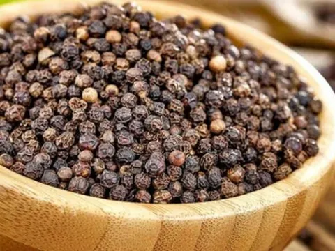 Giá tiêu hôm nay 9/9: Giữ ổn định, cao nhất 152.000 đồng/kg
