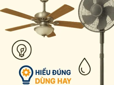 Quạt trần và quạt cây: Loại nào hiệu quả và tiết kiệm điện hơn trong phòng rộng?