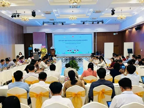 Trường học sinh thái ASEAN: Lan tỏa mô hình 'không rác thải nhựa' từ Cần Thơ