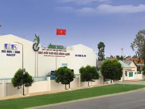 Ylang Holdings đăng ký mua 3,5 triệu cổ phiếu riêng lẻ của Antesco