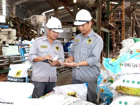 Phân bón Bình Điền (BFC) vượt 47% mục tiêu lợi nhuận năm 2025 trong 9 tháng