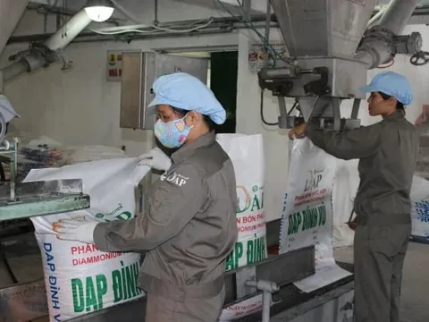 DAP - VINACHEM (DDV) báo lãi quý III cao kỷ lục, gấp 11 lần cùng kỳ