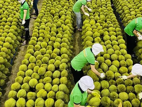 Trung Quốc ra quy định mới về nhập khẩu nông sản
