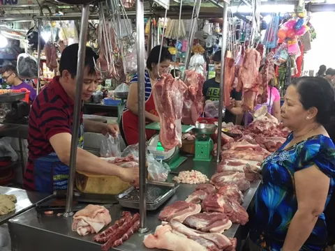 Giá heo hơi hôm nay, 21-10: Đồng loạt tăng giá sau nhiều tuần giảm