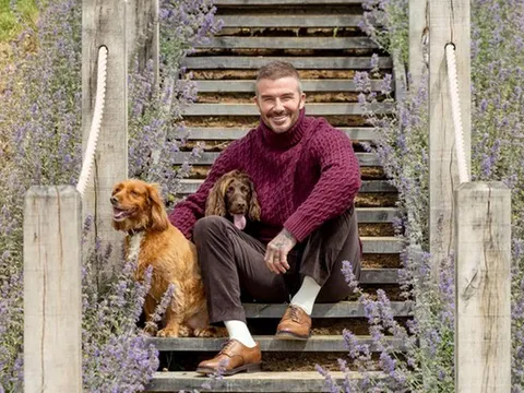 Siêu sao bóng đá lừng danh David Beckham vui thú điền viên