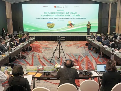 Việt Nam - Ireland tăng cường hợp tác chuyển đổi hệ thống nông nghiệp và thực phẩm