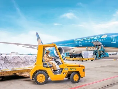 Dịch vụ Hàng hóa Nội Bài sắp chia cổ tức bằng tiền mặt tỷ lệ 80%