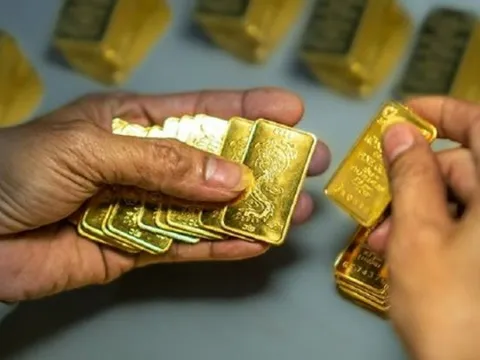 Công khai Kết luận thanh tra PNJ Tiền Giang, Vàng bạc Ngọc Thẩm, Vàng bạc Ngọc Hải