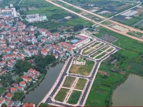 Tham gia đấu giá đất rồi bỏ cọc có thể bị 'cấm cửa' tới 10 năm