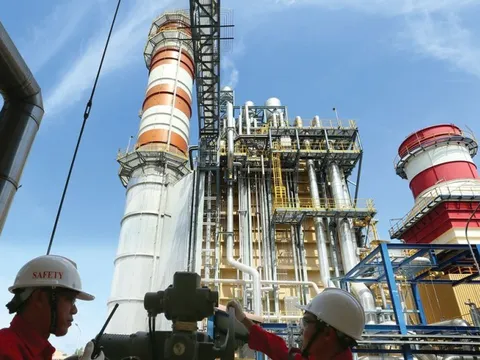 Hàng loạt công ty điện báo lãi lớn