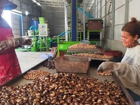 Campuchia, Nigeria cùng đưa sang Việt Nam hàng trăm nghìn tấn hàng quan trọng: Nước ta xuất khẩu top 1 thế giới