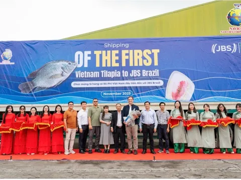 Đơn hàng 700 tấn cá rô phi Việt Nam lần đầu vào Brazil: Ai đứng sau?