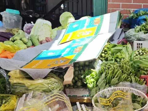 Bà nội trợ "giật mình" vì giá rau củ tăng chóng mặt