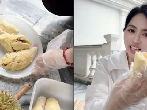 Số phận vườn sầu riêng nhà Mailisa