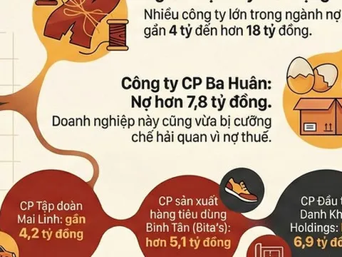 Ba Huân, Color Man Food cùng nhiều công ty khác nợ BHXH tiền tỉ