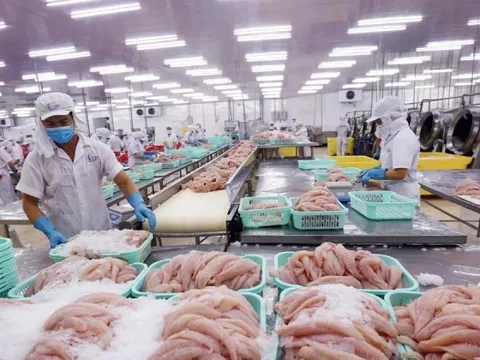 Châu Âu siết mạnh truy xuất nguồn gốc thủy sản