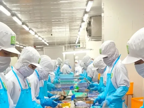 Xoay vốn cho sản xuất