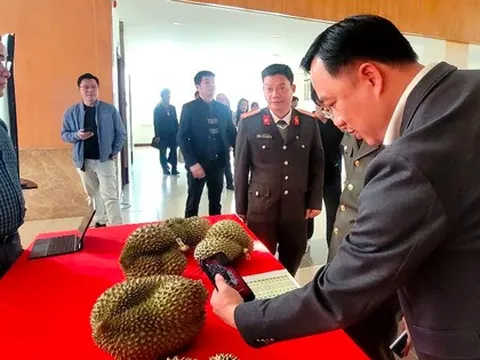 Thí điểm truy xuất nguồn gốc sầu riêng từ đầu năm 2026