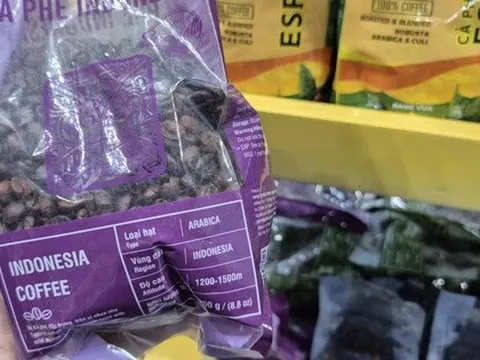 Giá cà phê hôm nay 29-12: Vì sao Việt Nam chi hơn nửa tỉ USD nhập cà phê?