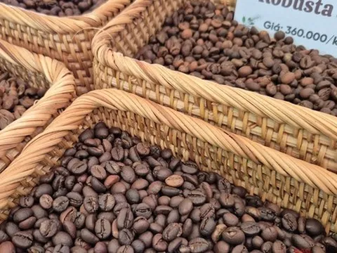 Giá cà phê hôm nay 7-1: Bật tăng, lấy lại mốc quan trọng