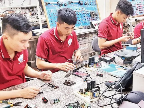 Bảo đảm quyền được định hướng nghề nghiệp và lựa chọn lộ trình học tập của học sinh